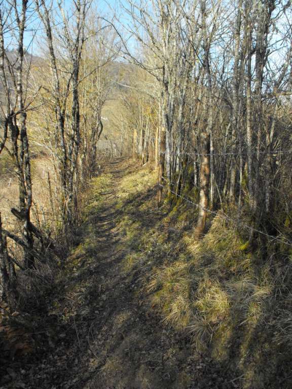 Tour de la Vicomté - Boucle de Noailhac - VTT — photo 3