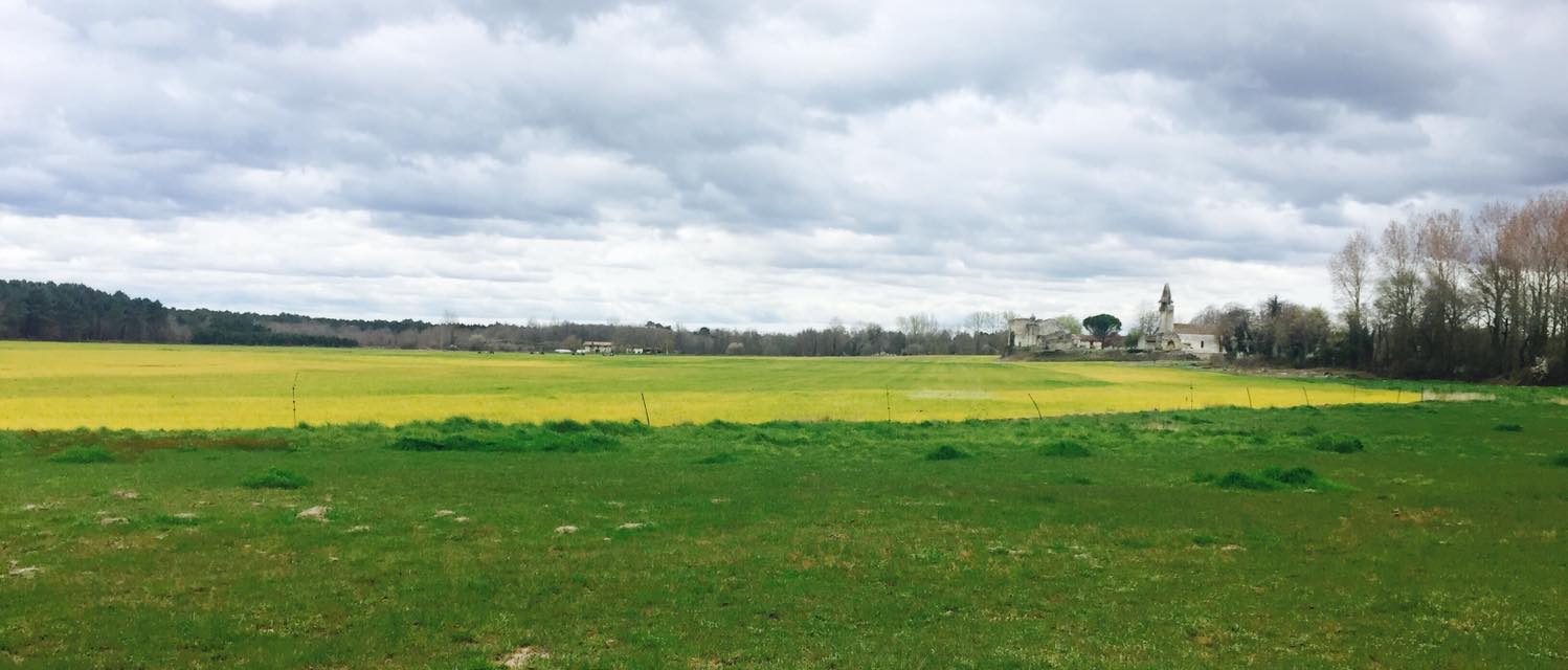 Piste du patrimoine à Noaillan