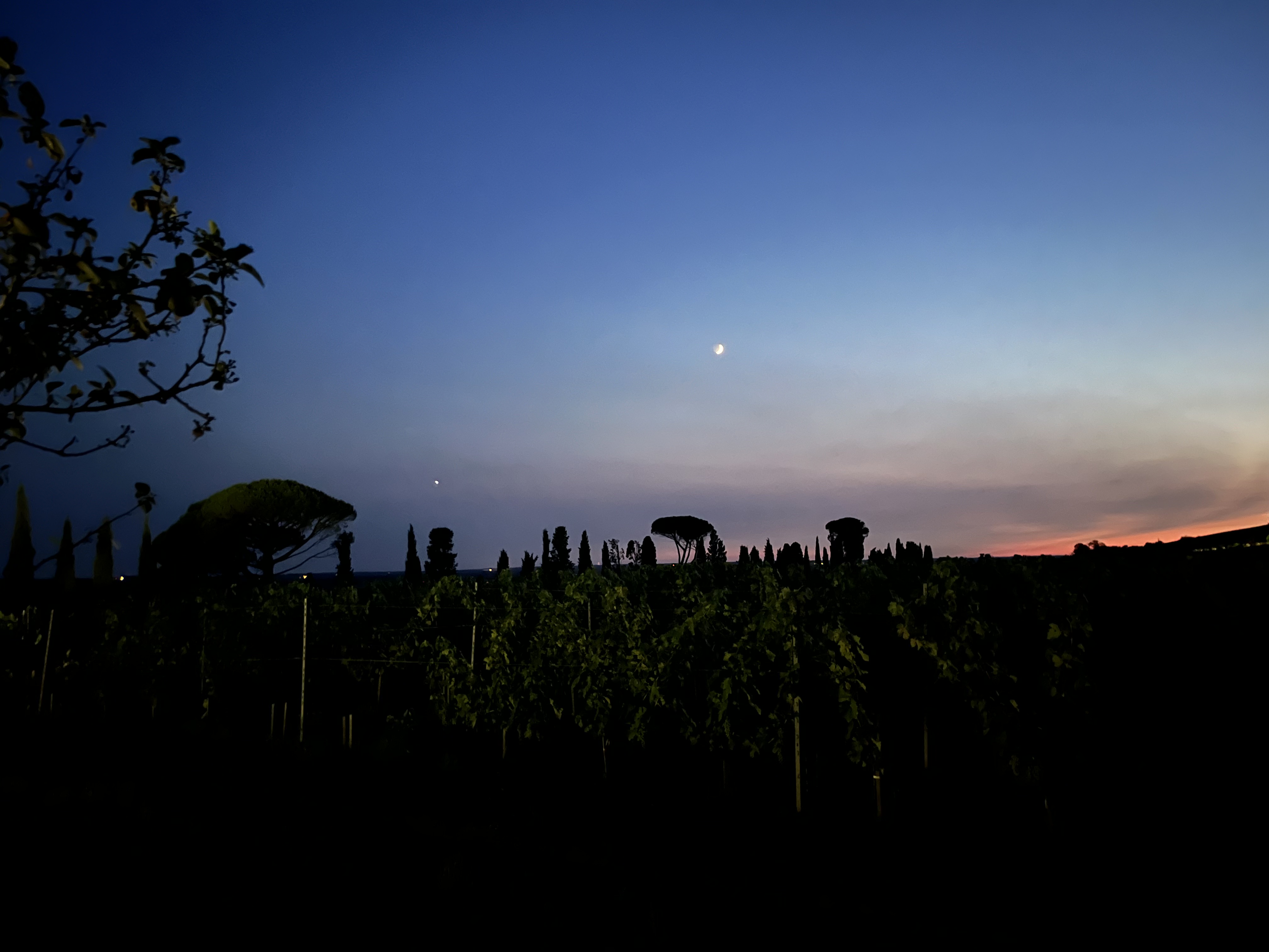 Les Nuits Atypiques au Domaine de Malagar, Saint-Maixant