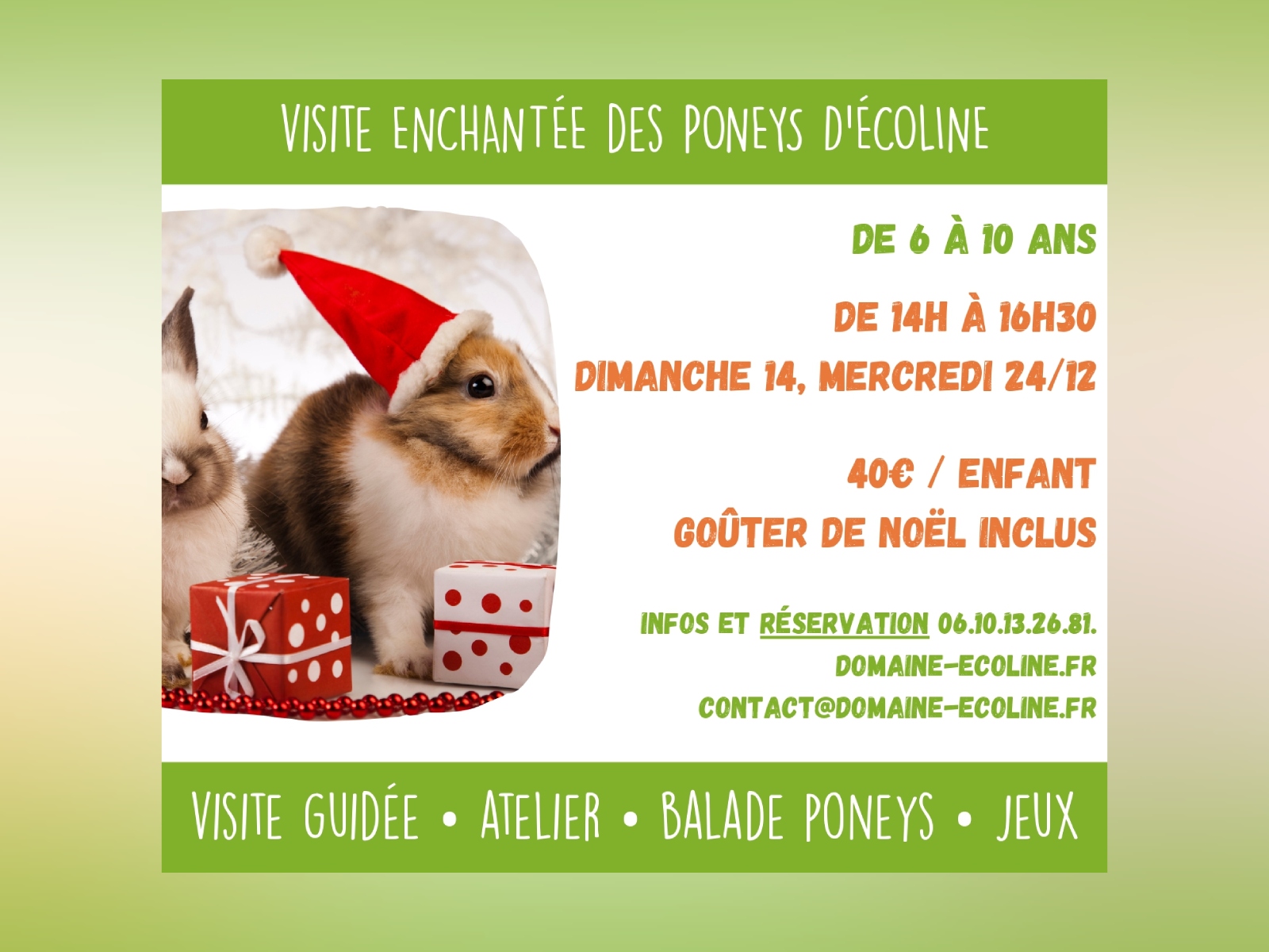 Noël avec les poneys d'Écoline