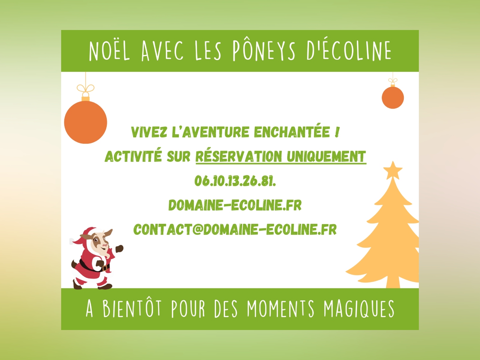 Noël avec les poneys d'Écoline