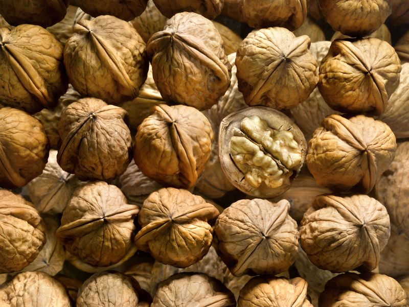 Autour de la noix à Nailhac, Nailhac