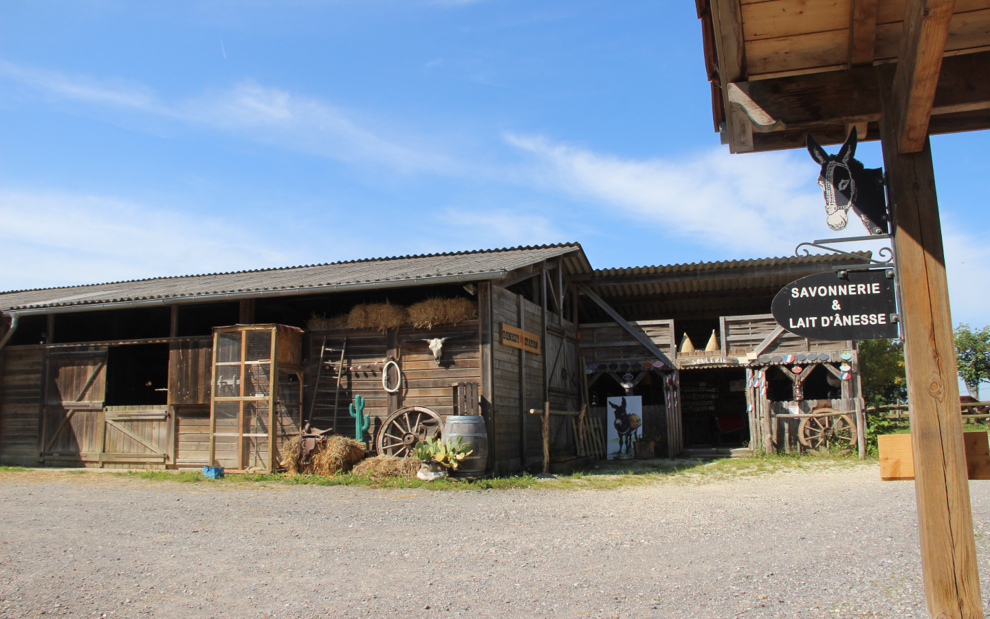 Asinerie de Pierretoun - Ferme Découverte - photo 4