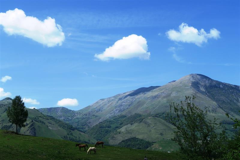 N°27 Tour du Poey