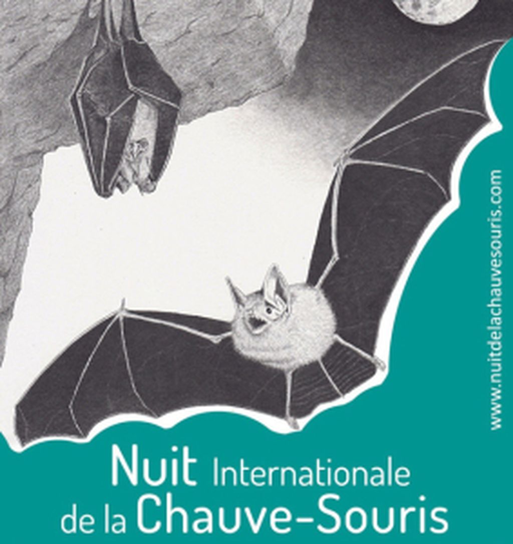 Nuit de la Chauve-Souris dans la Vallée du Thaurion — visuel événement