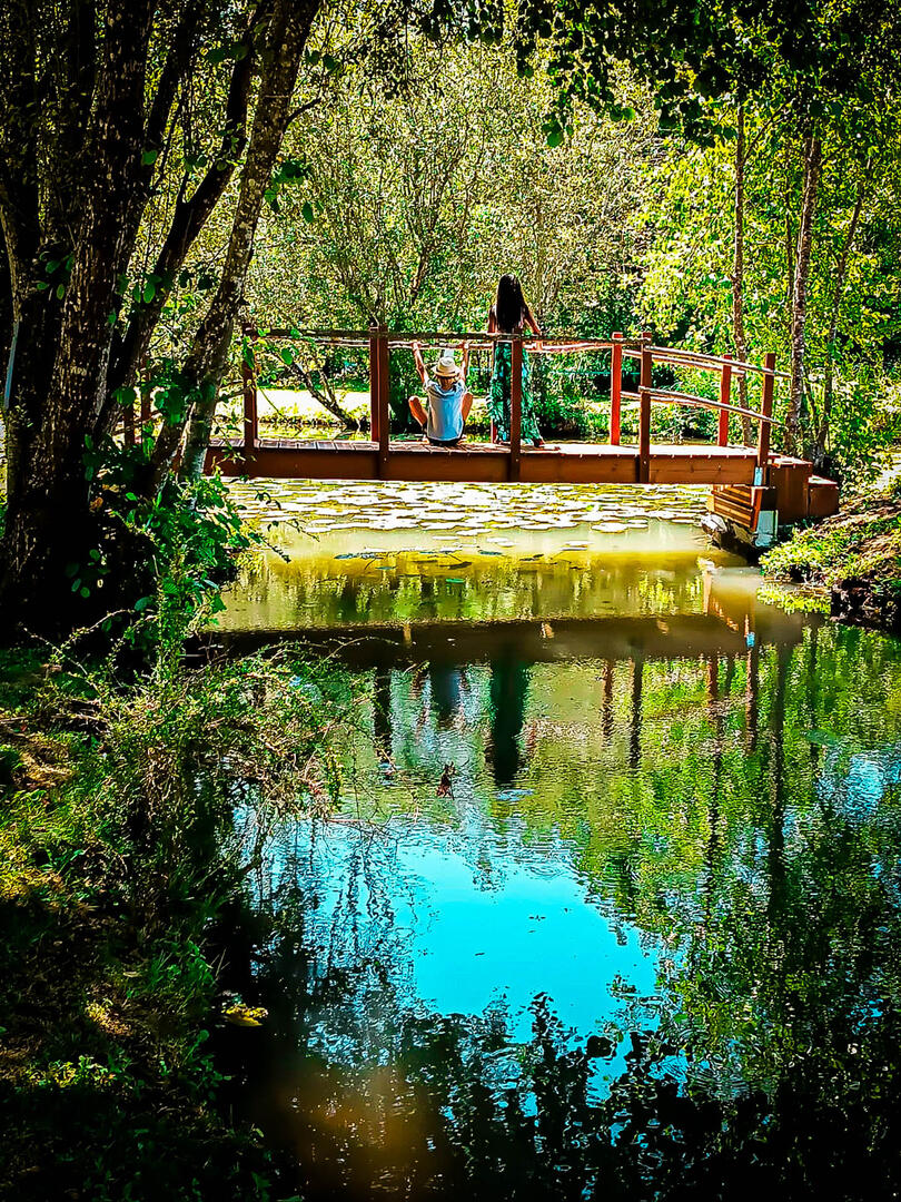 O Clos d'Allas, Saint-André-d'Allas - photo 10