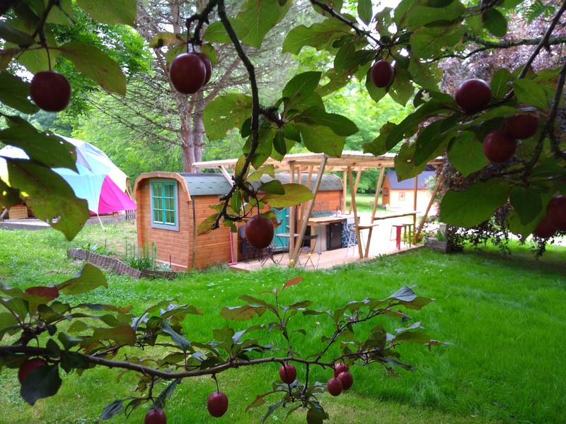 Graines de Nature - Le sloop échoué sur un îlot de verdure