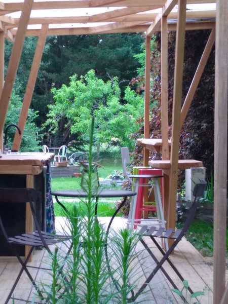 Graines de Nature - Le sloop échoué sur un îlot de verdure - photo 4