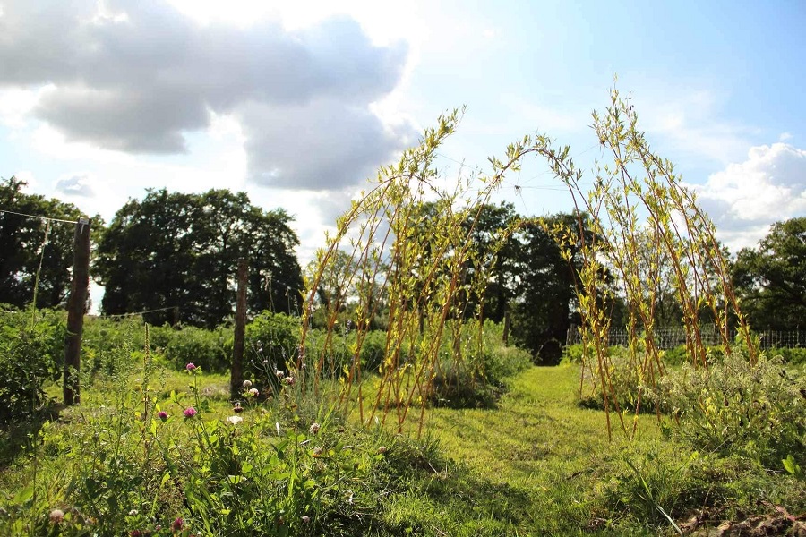 ô jardin des chênes