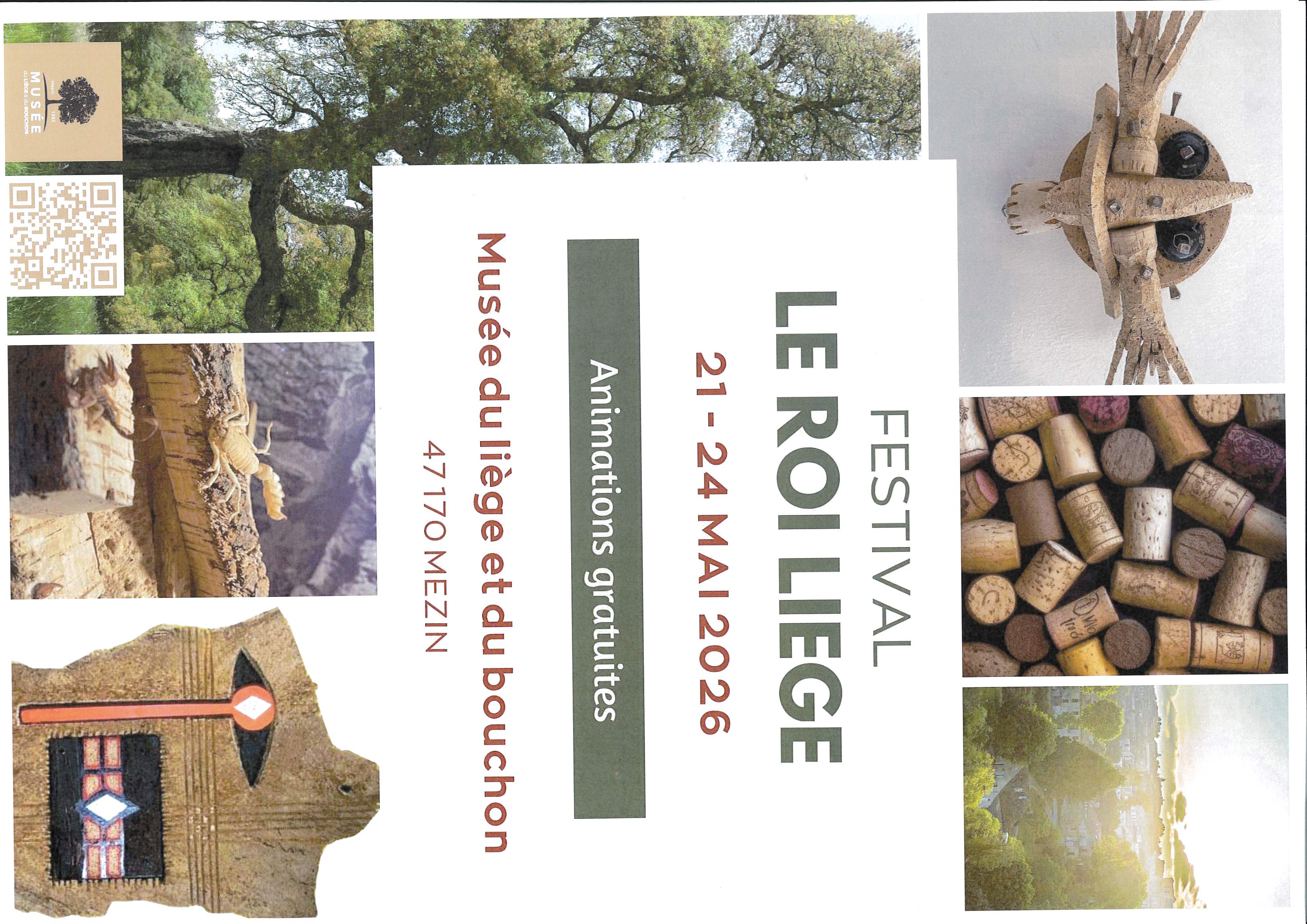 Festival le roi liège