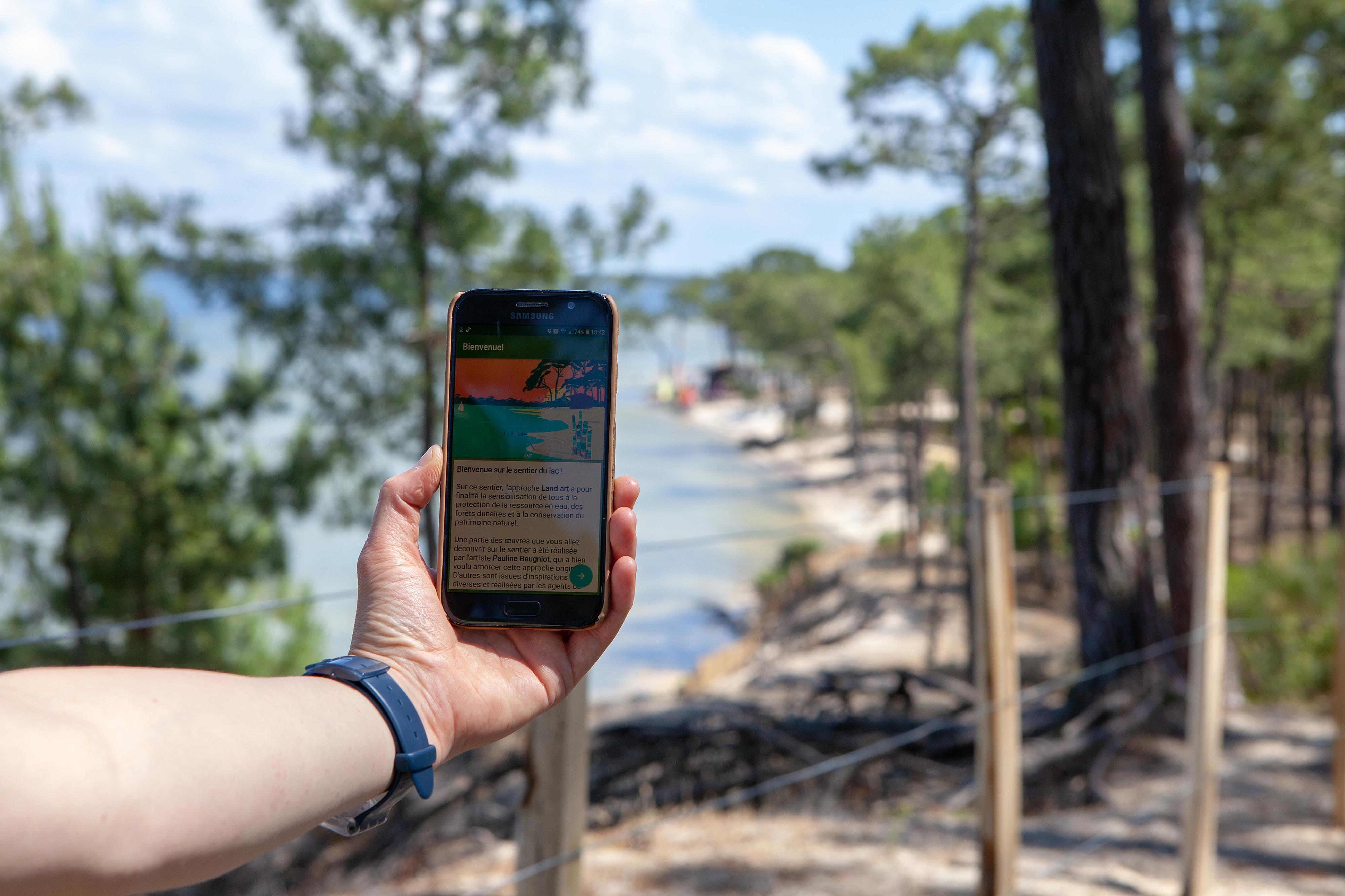 Le sentier du Lac à Maubuisson, Carcans - photo 4