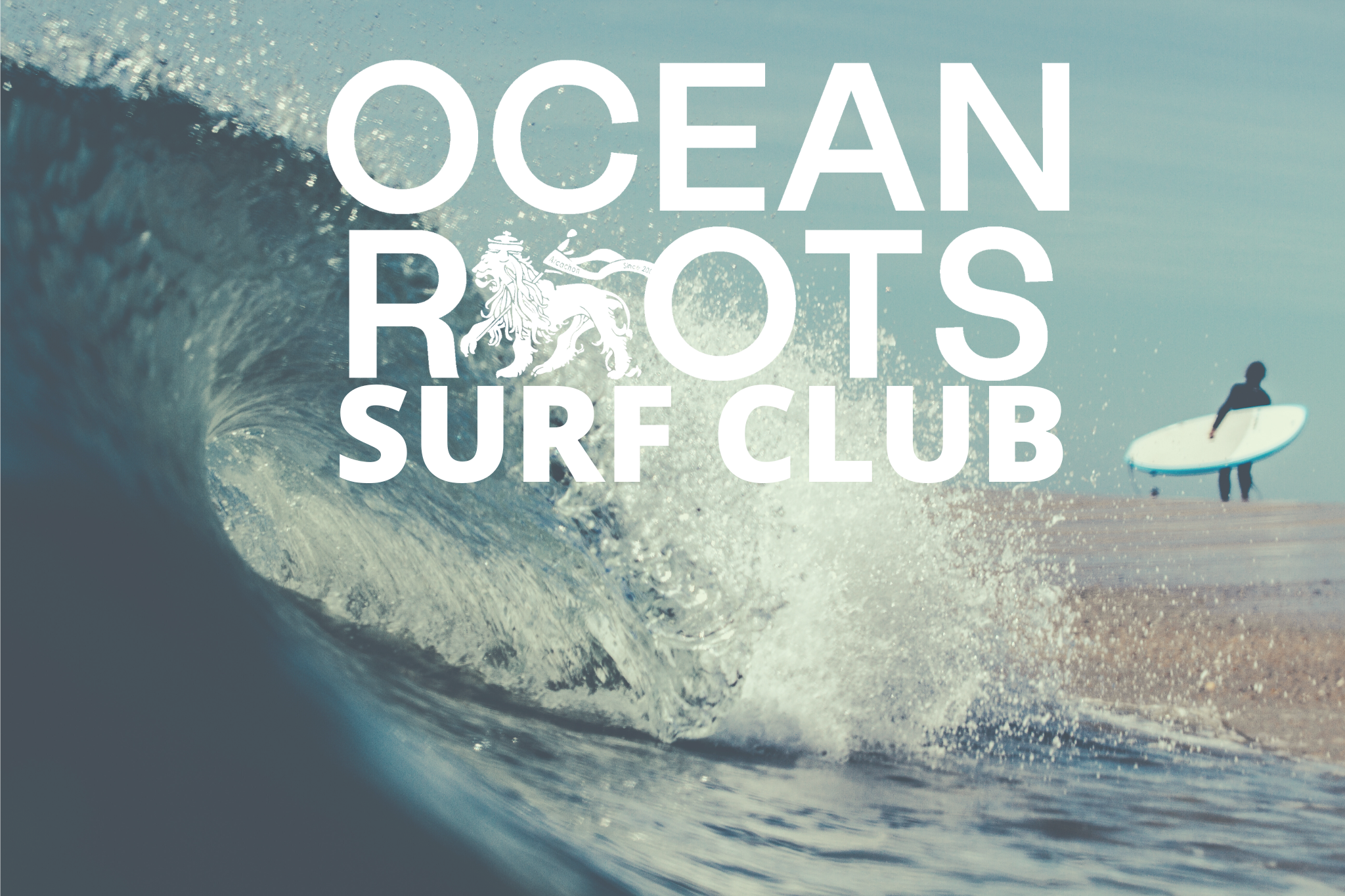Ocean Roots