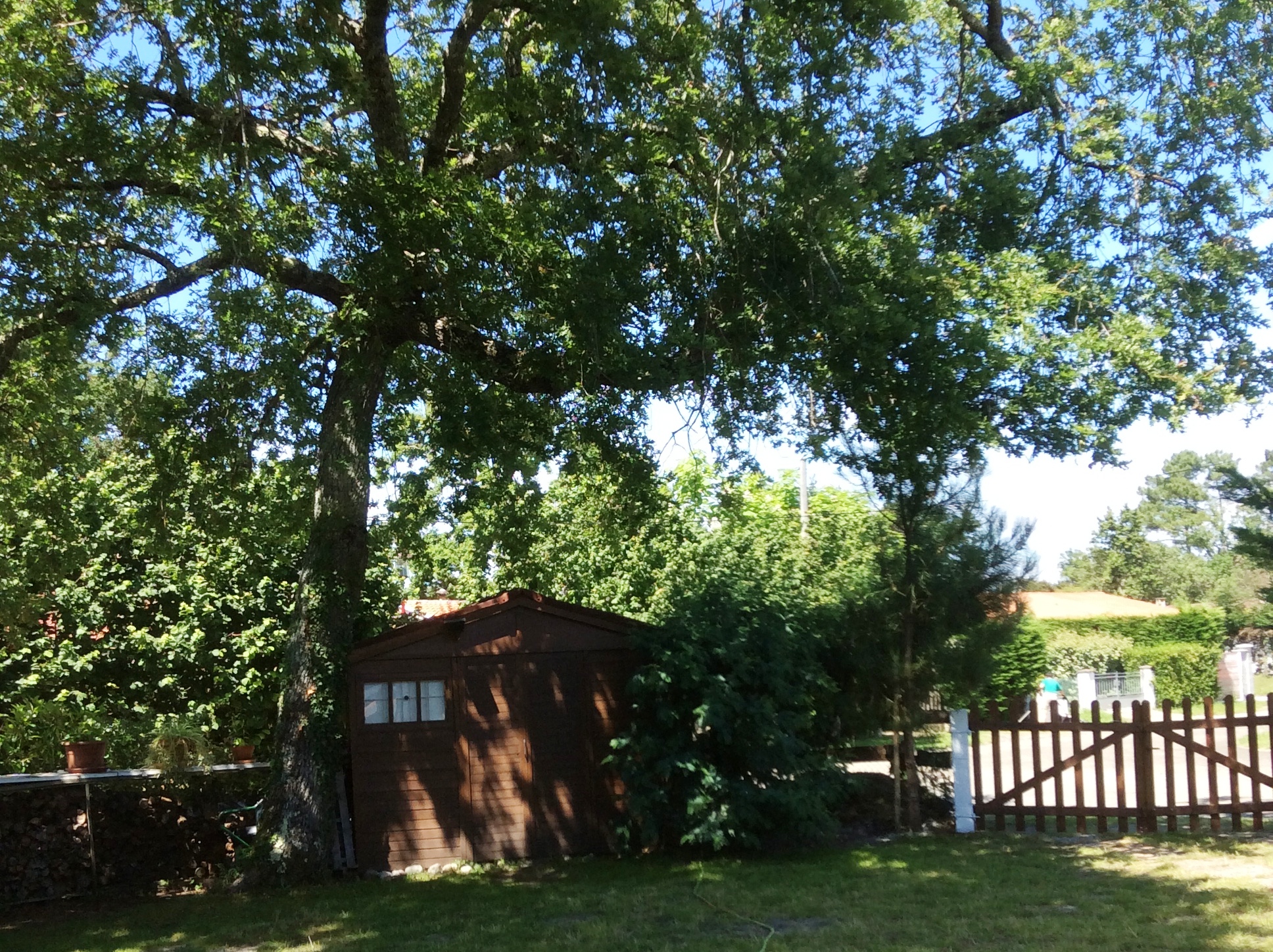 Les Vieux Chênes du Lac, Gastes - photo 19