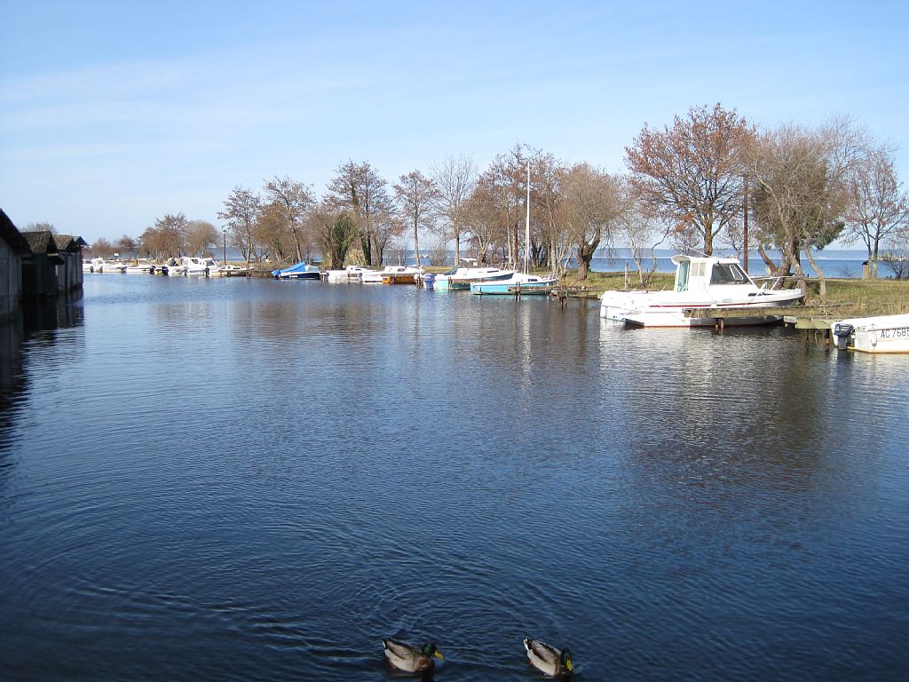 Les Vieux Chênes du Lac, Gastes - photo 8