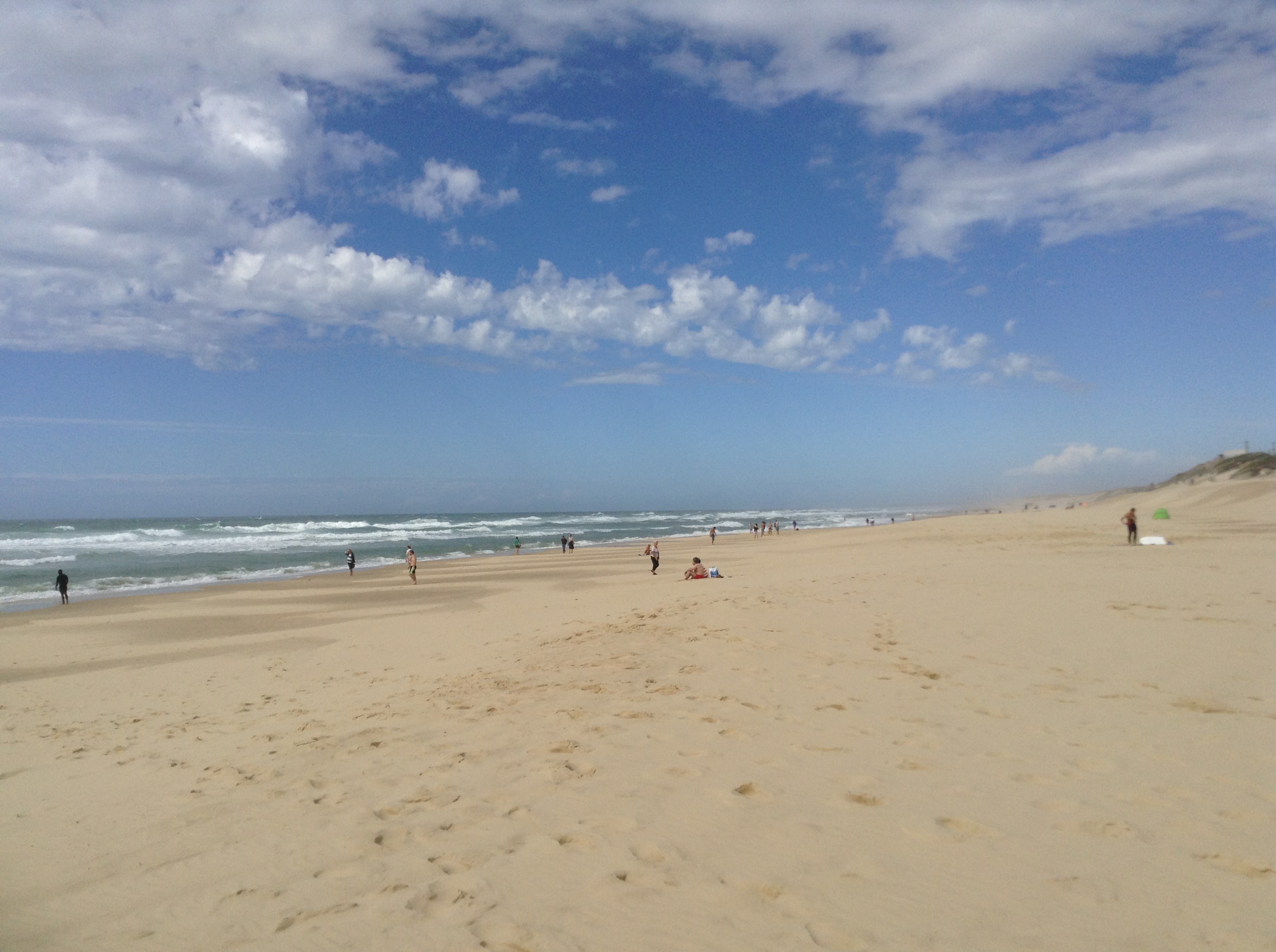 Les Vieux Chênes du Lac, Gastes - photo 10