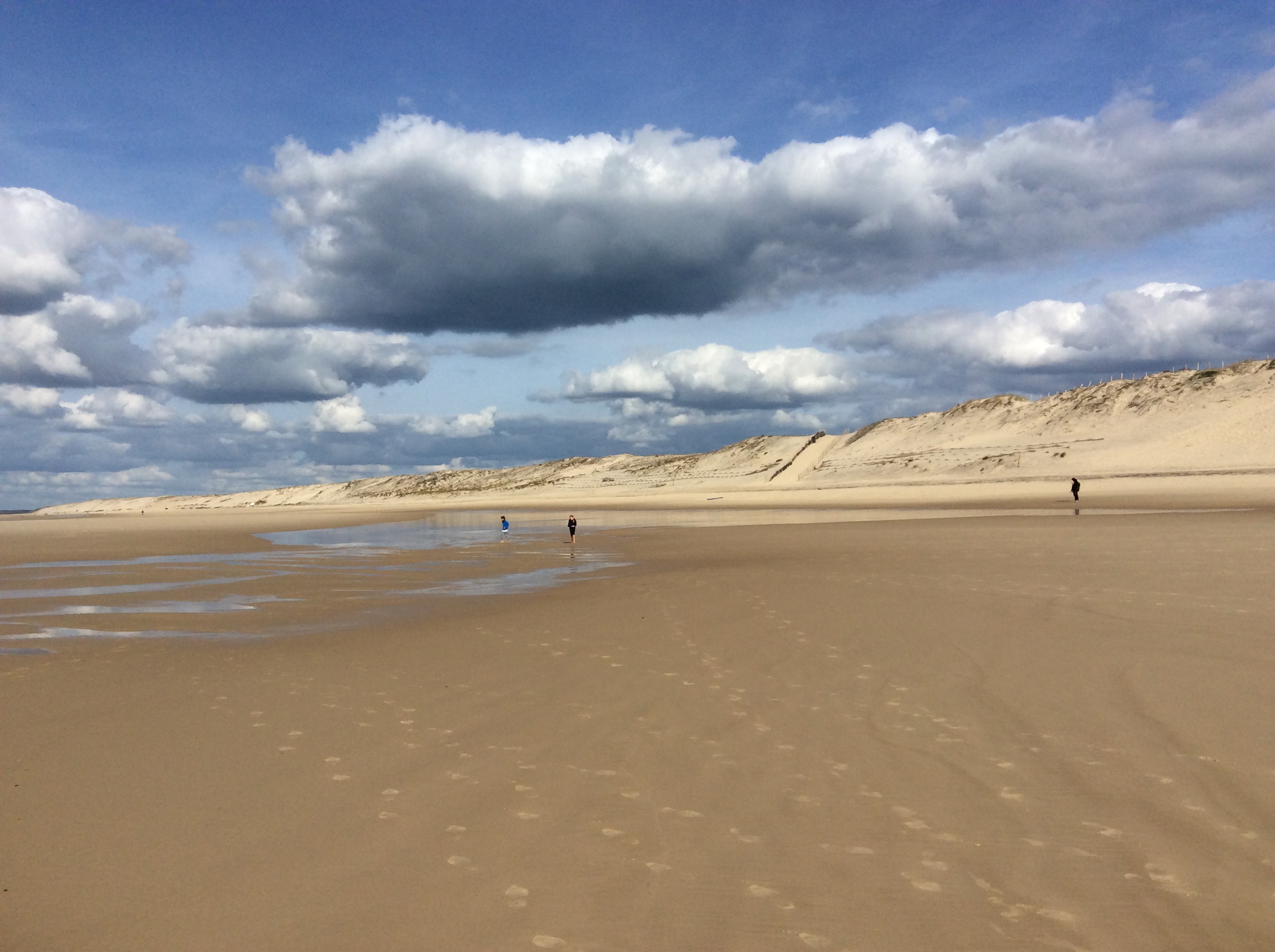Les Vieux Chênes du Lac, Gastes - photo 5