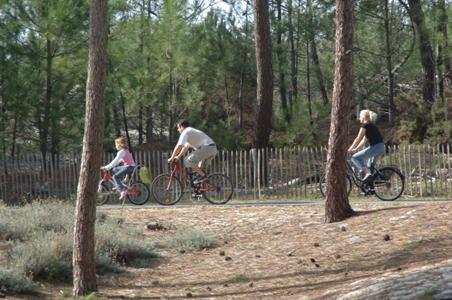 Boucle des Cavalles, Carcans - photo 2