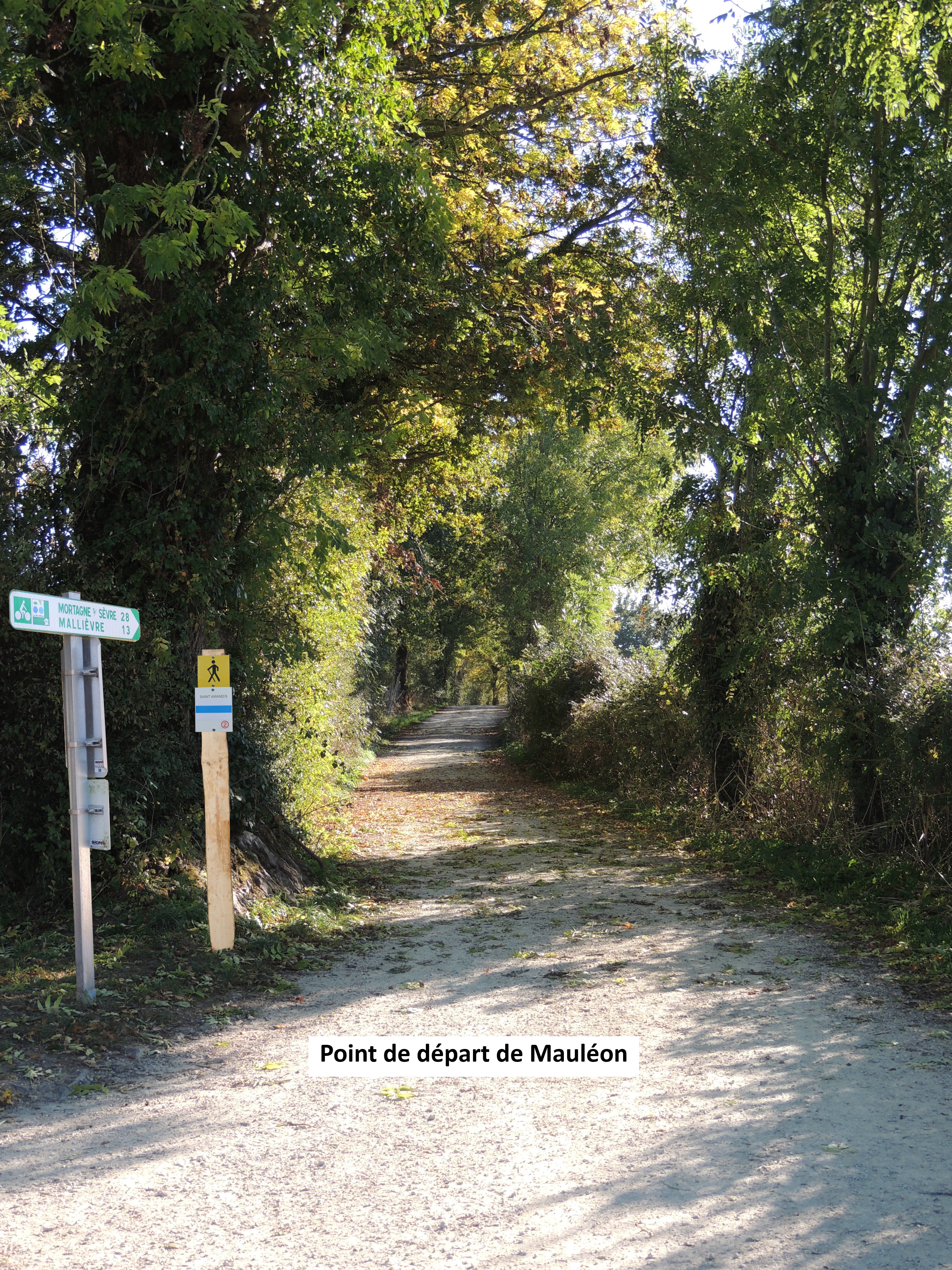 Saint-Amand-sur-Sèvre : circuit n°2 St Amand - Mauléon - St Amand, Saint-Amand-sur-Sèvre