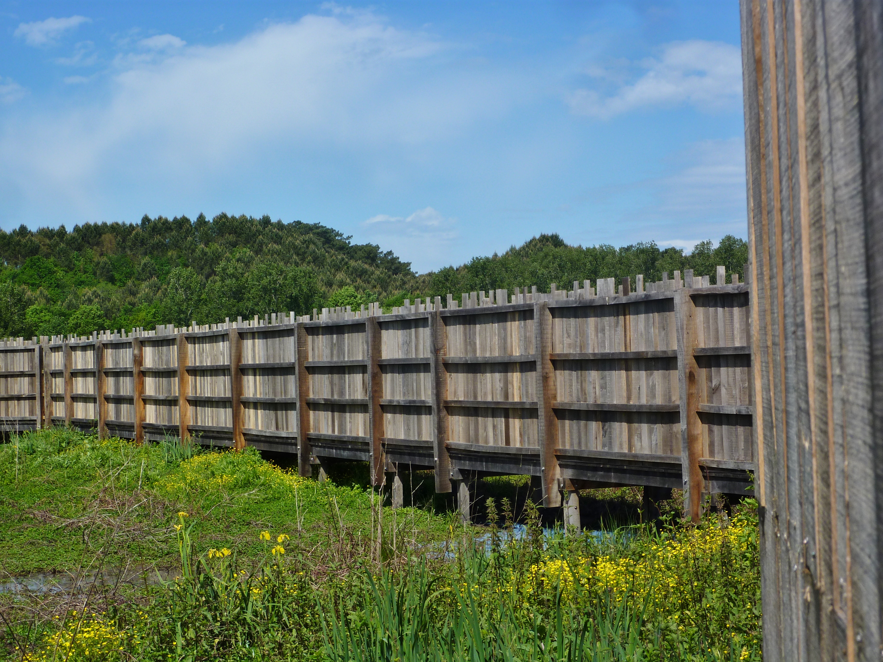 Réserve Naturelle du Marais d'Orx, Labenne - photo 2