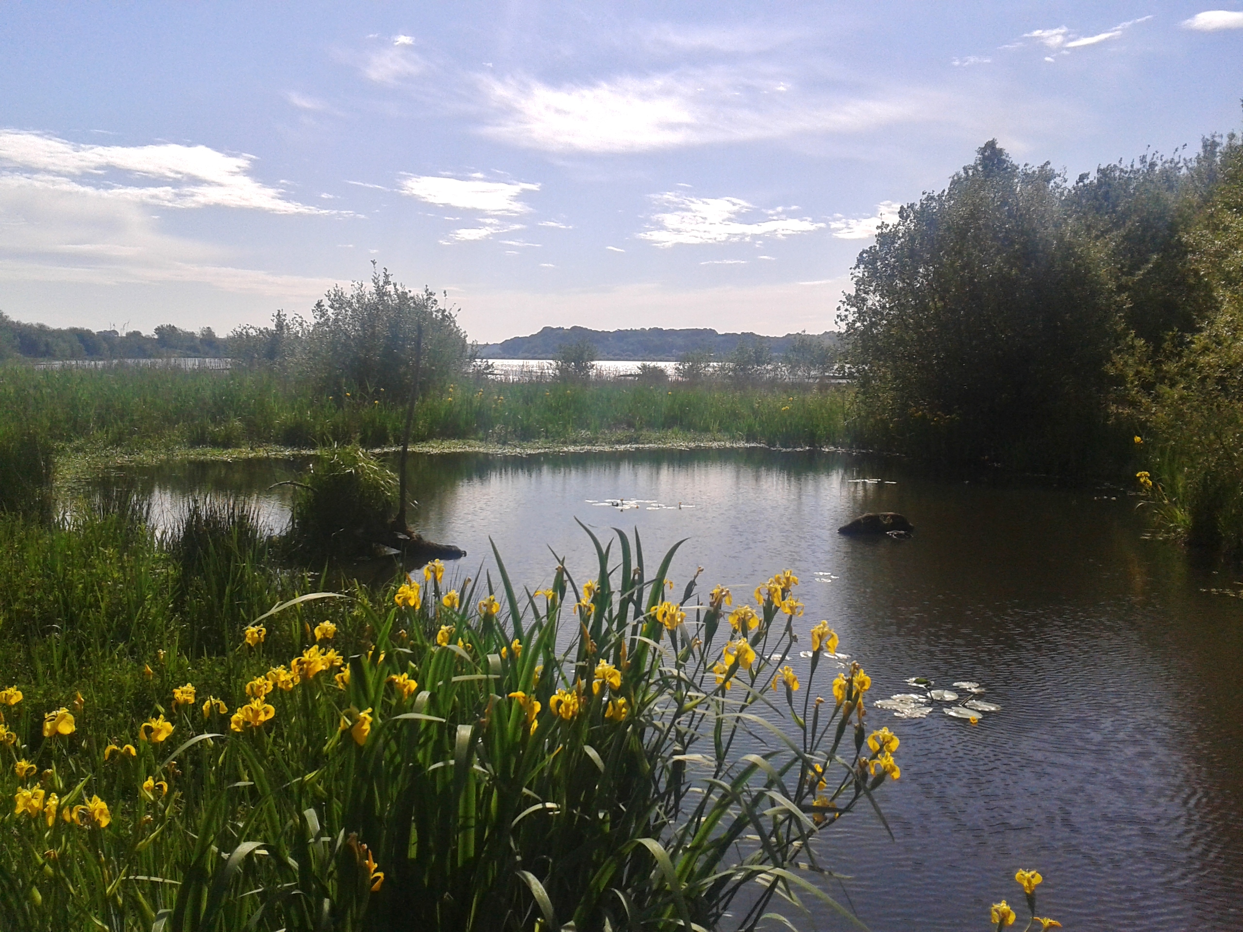 Réserve Naturelle du Marais d'Orx, Labenne