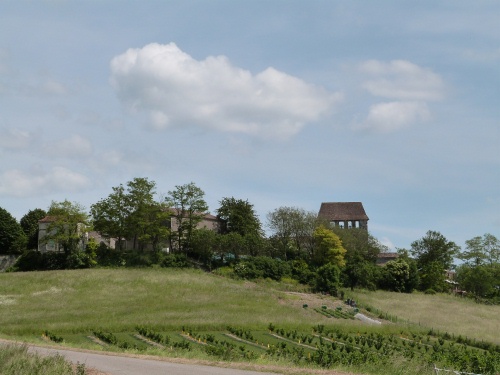 Eglise Saint Pierre, Montaut - photo 2