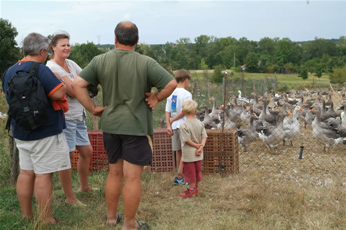 La Ferme de Michaumaille - photo 2