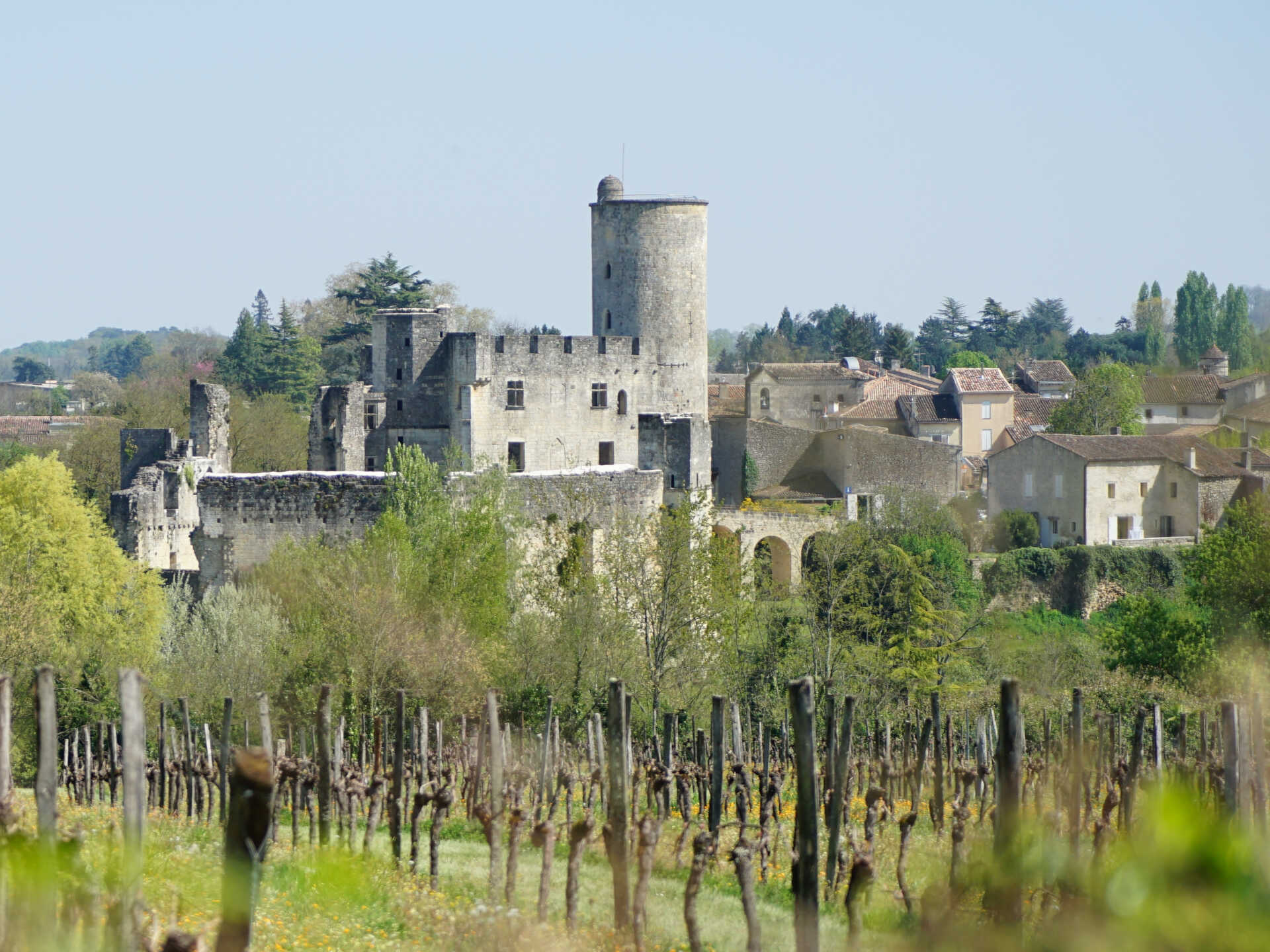 Château de Rauzan, Rauzan - photo 7
