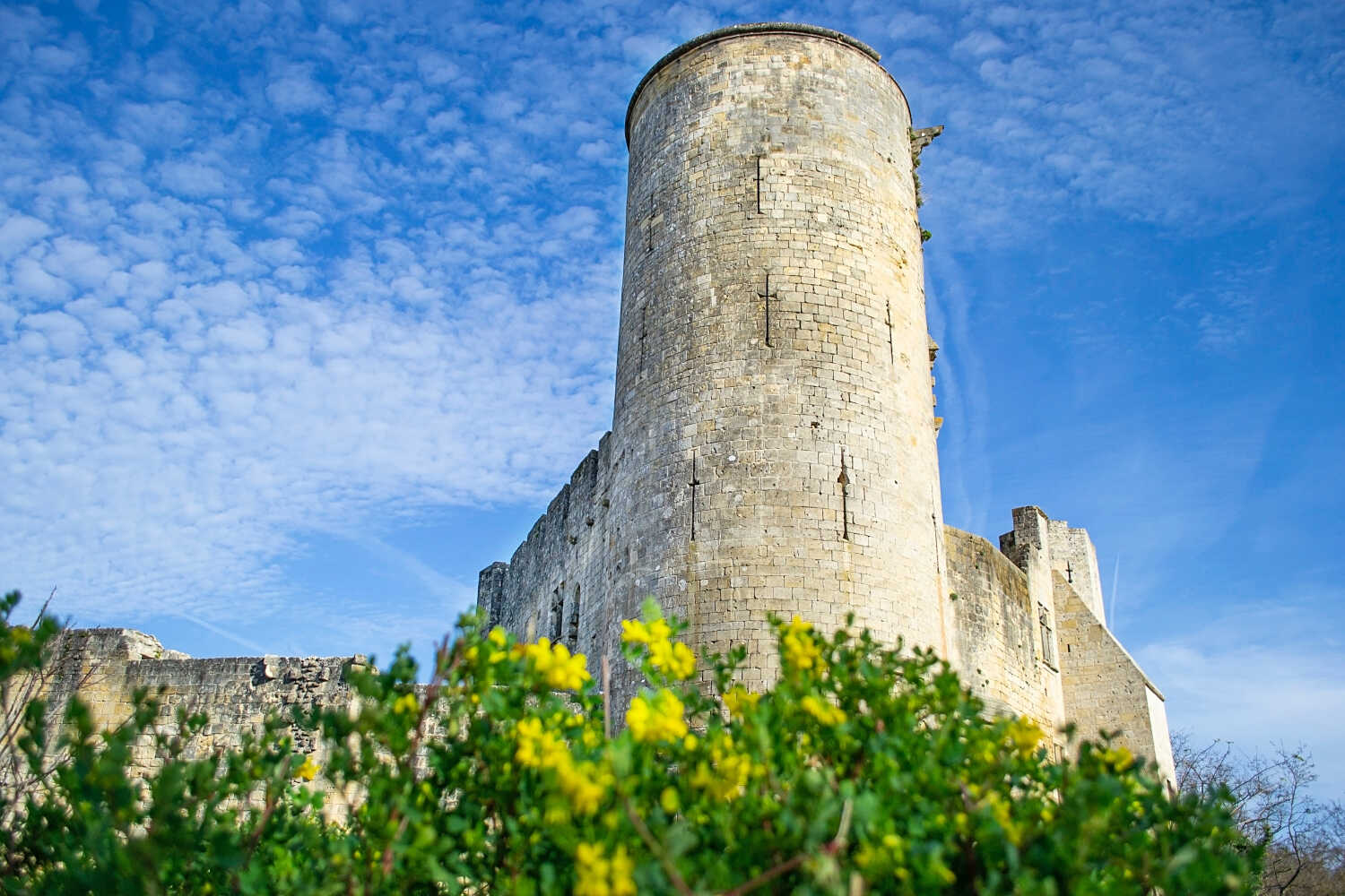 Château de Rauzan, Rauzan - photo 8