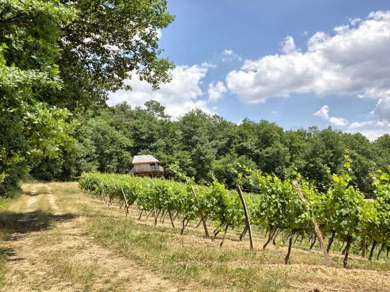 Les Cabanes des Benauges, Porte-de-Benauge - photo 10