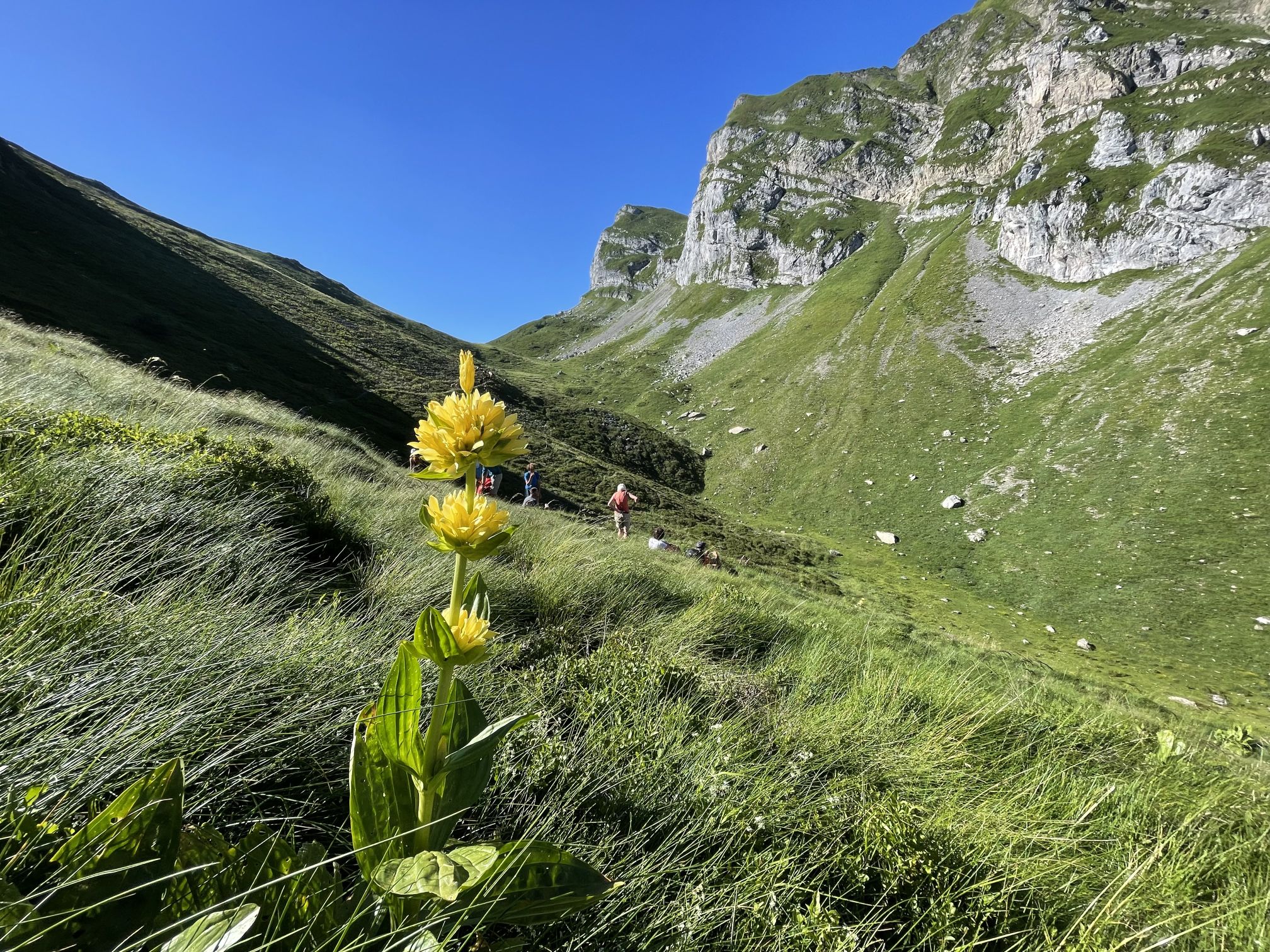 N°33b - Lac du Montagnon par Aydius, Aydius