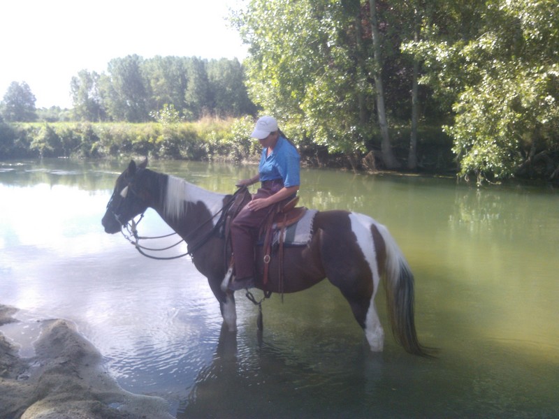 Le Ranch des Centaurées