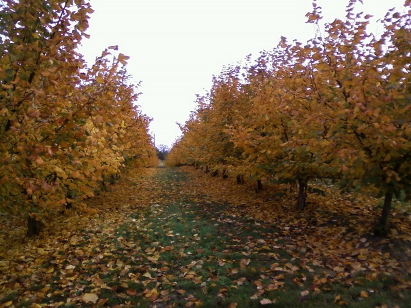 EARL de Bel Air - photo 2