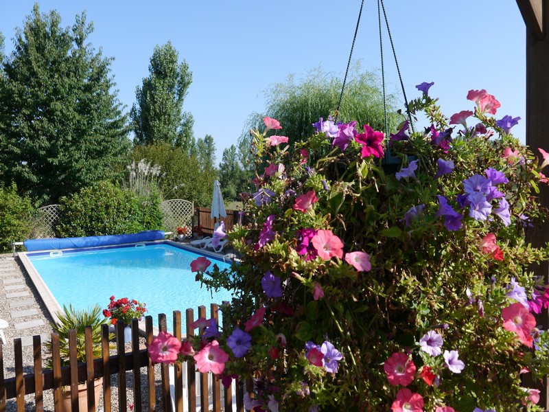 Gîtes de Sévenne - Duck - photo 2