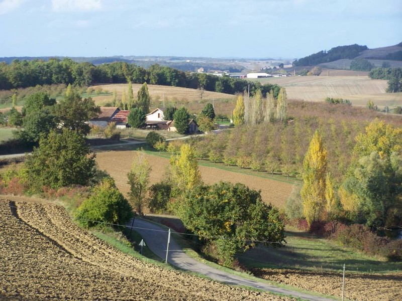 Les folies de Sophie, Coulx - photo 7