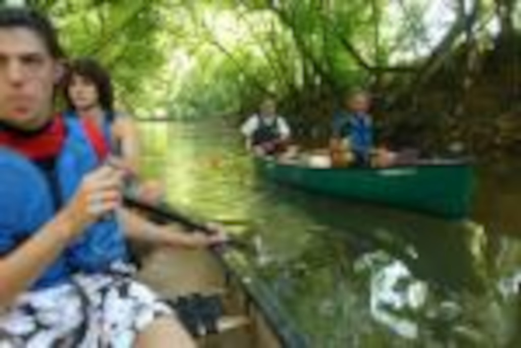 Canoë sur la Midouze — photo 2