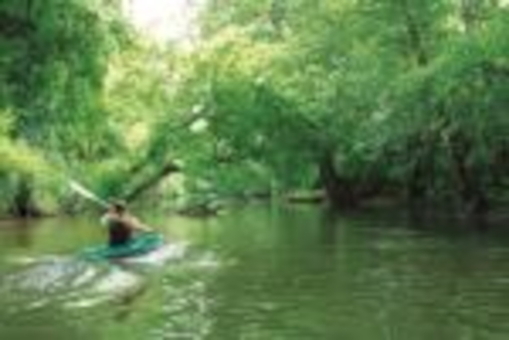 Canoë sur la Midouze — photo 3