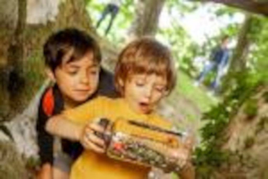 Circuit Terra Aventura - Embarquez pour les Barthes ! - photo 2