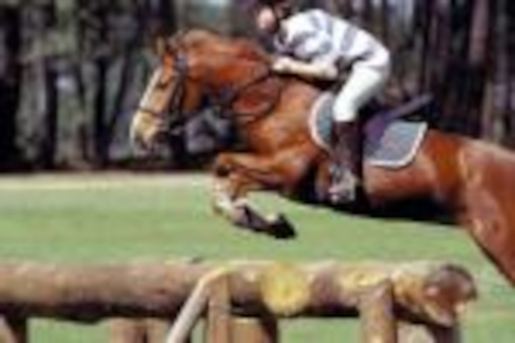 Centre équestre Ous Pins - photo 3