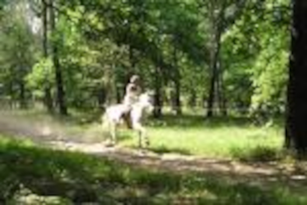 Centre équestre Ous Pins - photo 2