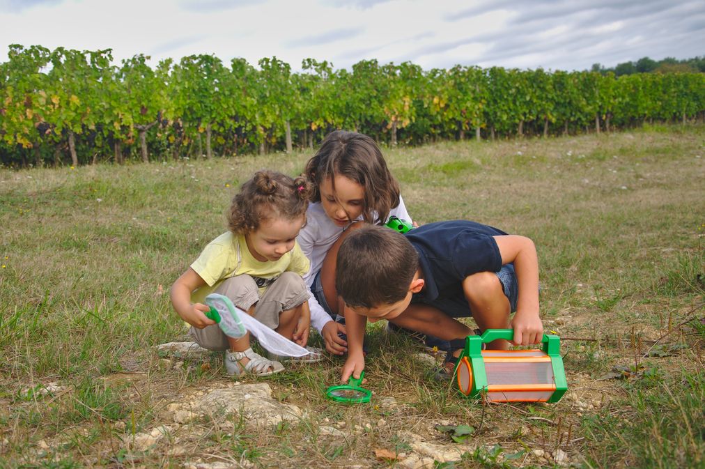 Domaine de Perreau - photo 2