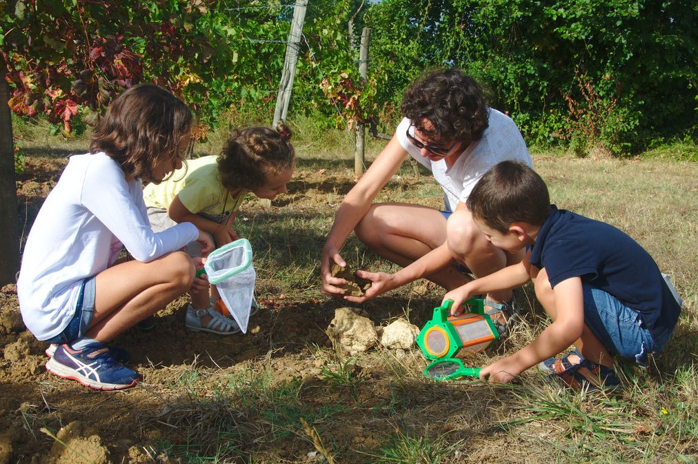 Domaine de Perreau - photo 3