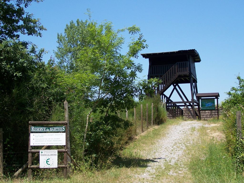 Observatoire ornithologique (barthes)