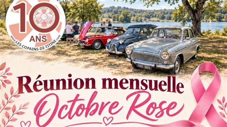 Octobre rose avec les copains de Titine