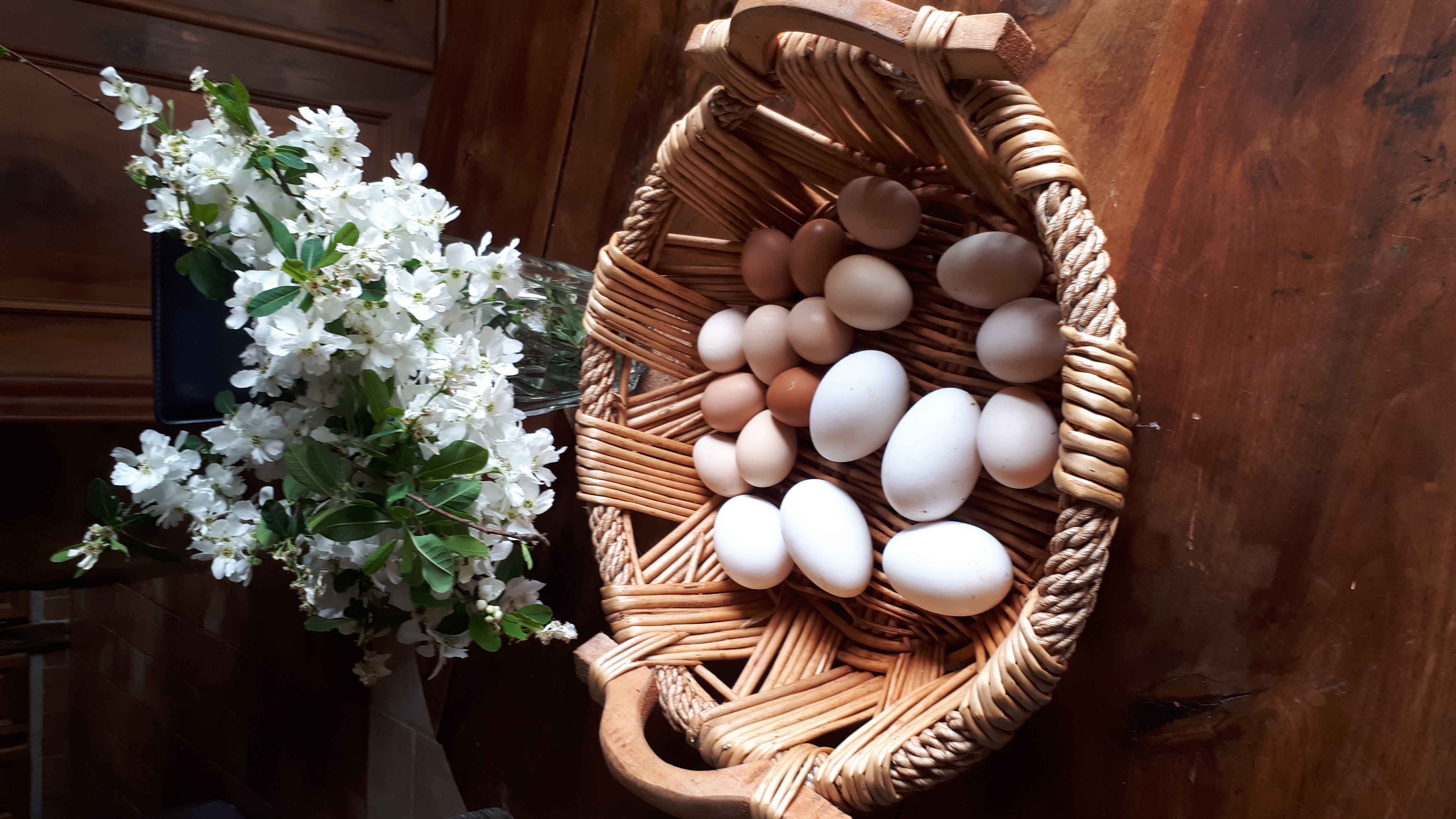 Entre Adour et Montagne, Pouillon - photo 7