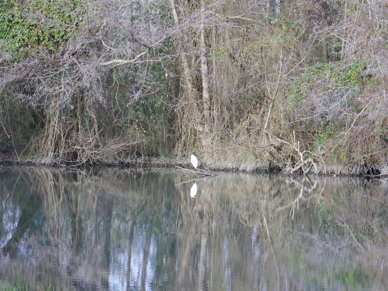 Les Berges de l'Arlas et du Luy de Béarn