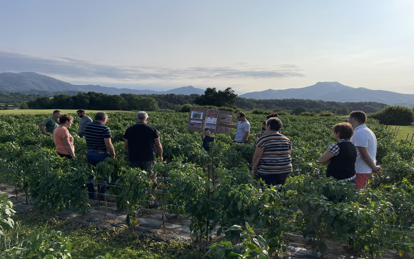 Ferme Okilaua - photo 4