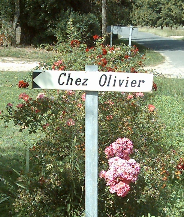 GAEC des "Olivier" - photo 4