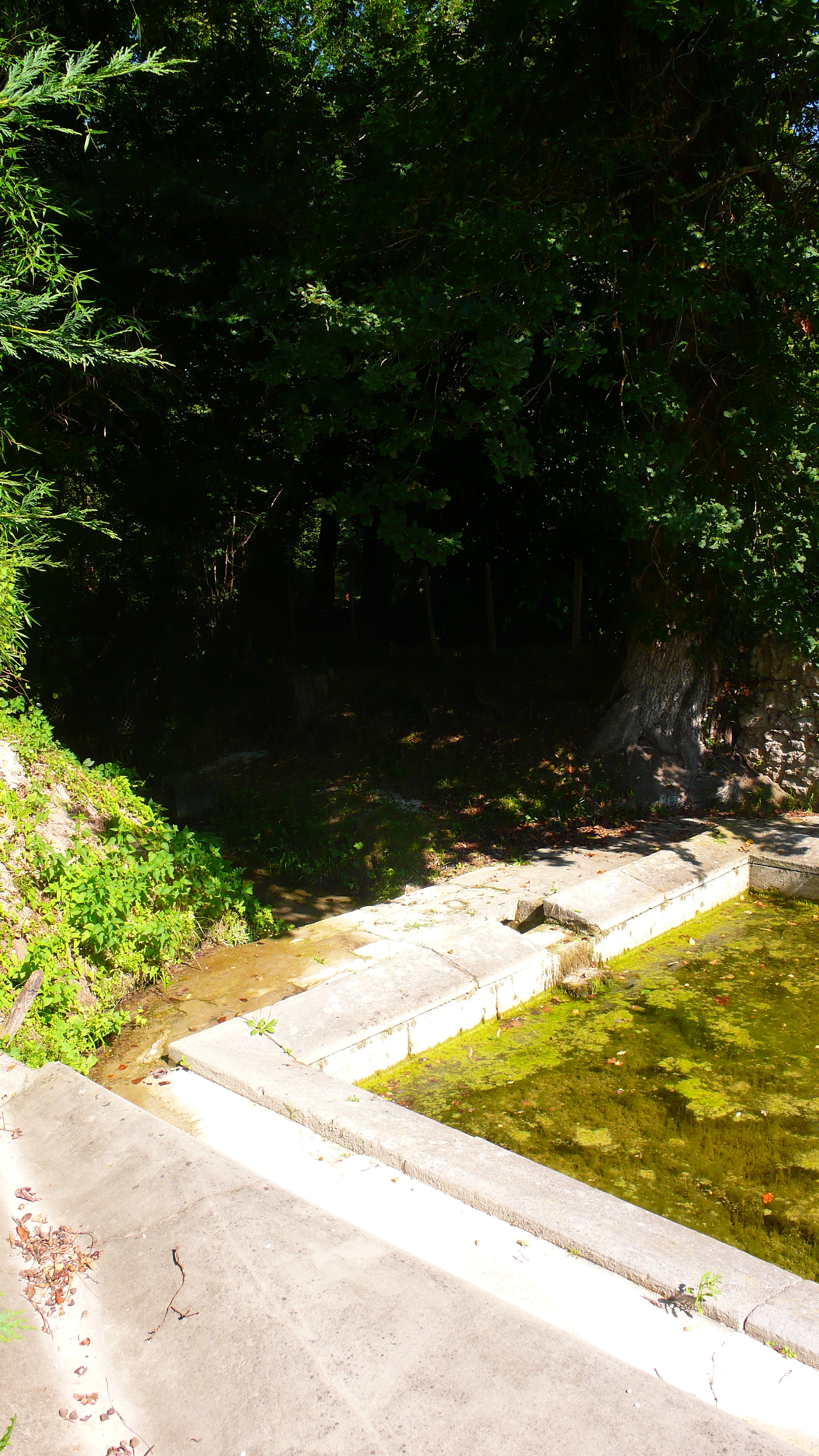Oratoire Notre-Dame de la Houn, Saint-Selve - photo 4