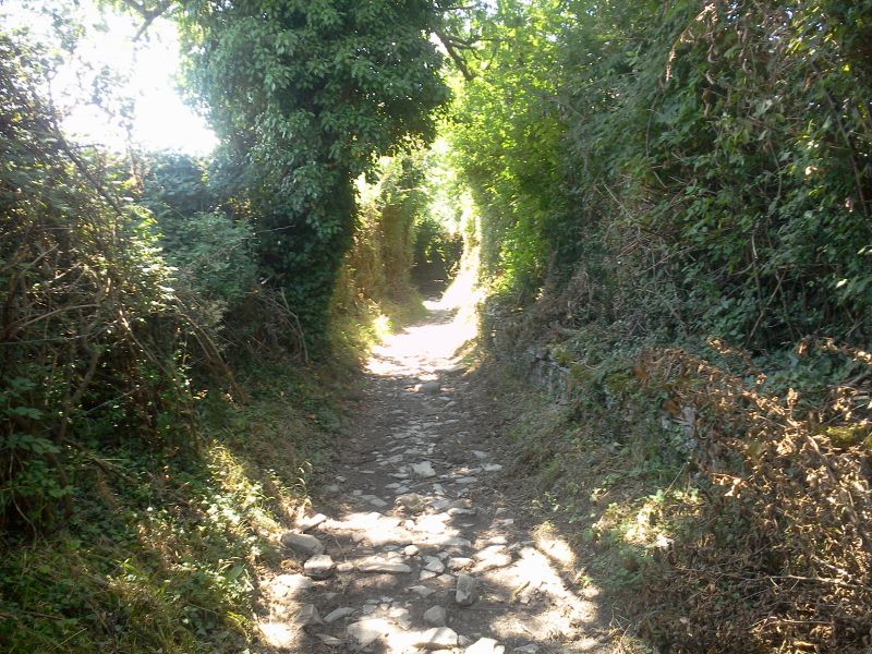 Gîte d'étape Ospitalia