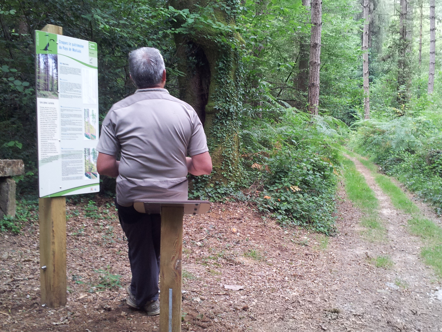 Ouillon : Entre lande et forêt - photo 3
